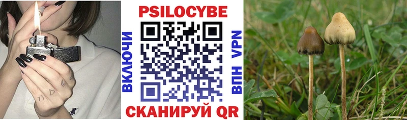 Псилоцибиновые грибы GOLDEN TEACHER  Новая Ладога 